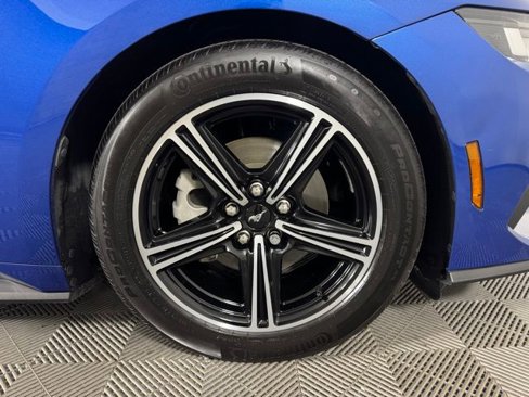 Certified 2024 Ford Mustang EcoBoost ***GOLD CERTIFIED*** image 10